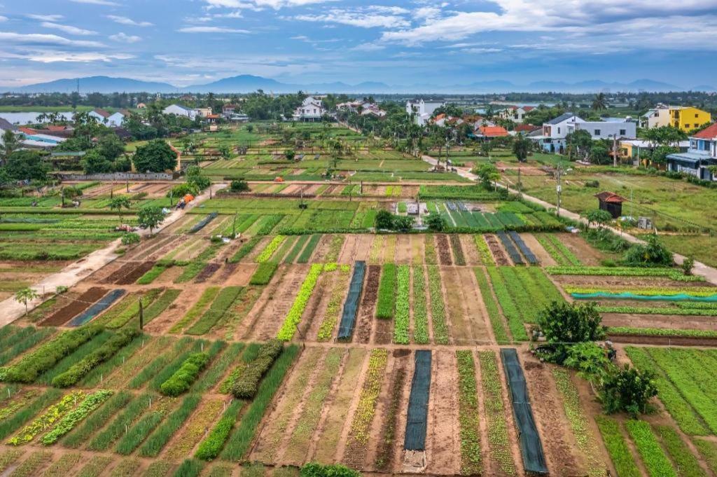 Hoi An Ht Villa And Hostel Екстер'єр фото